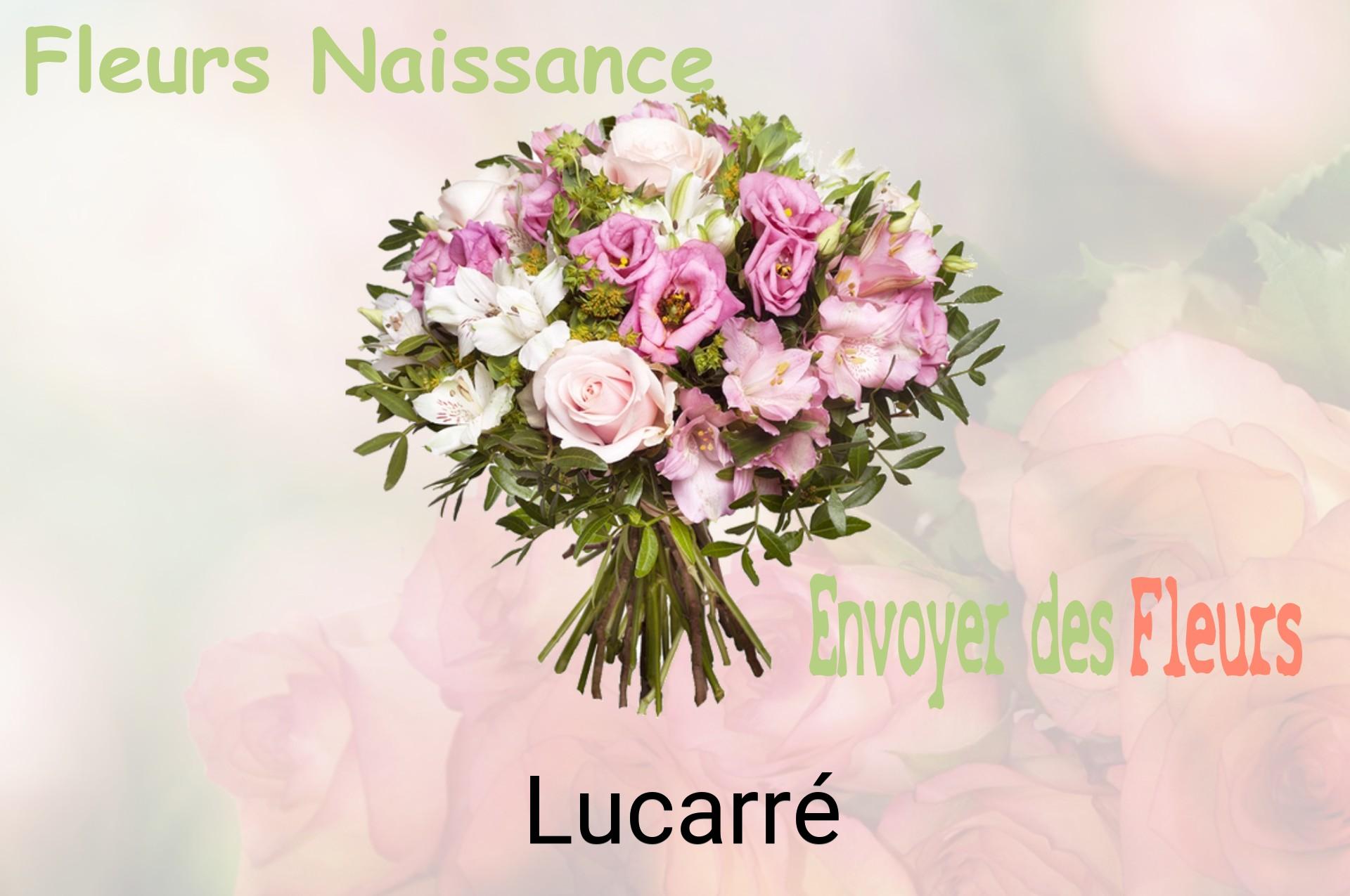 Bouquet de fleurs de naissance livré à Lucarré